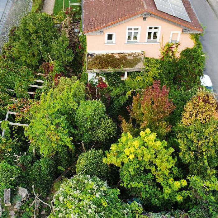 Bild-11-_Luftaufnahme_15_700pixel