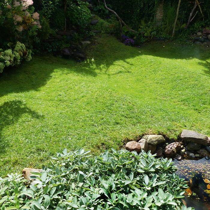 Bild-8-Rasenwellen_10_700pixel