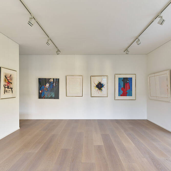 CE667-107_10_700pixel