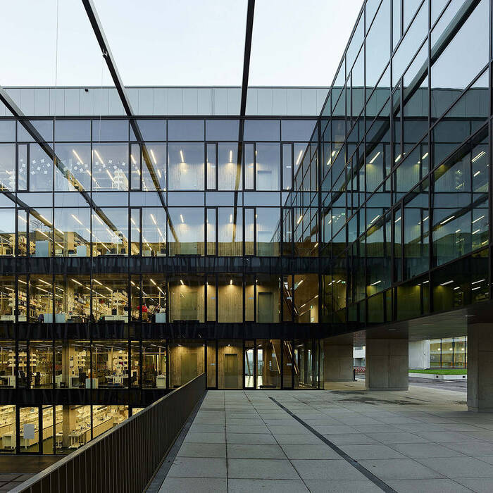 CF005691_15_700pixel