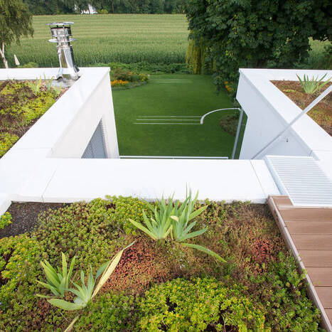 D14-D10-15_Gary-Rogers_10_700pixel