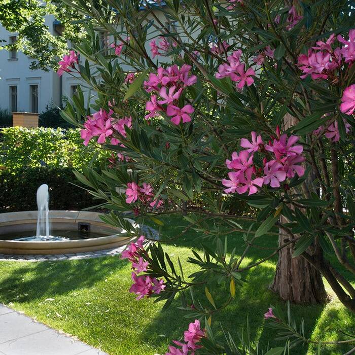 D19-D16-Bode-Hofmann-Timm-62_10_700pixel