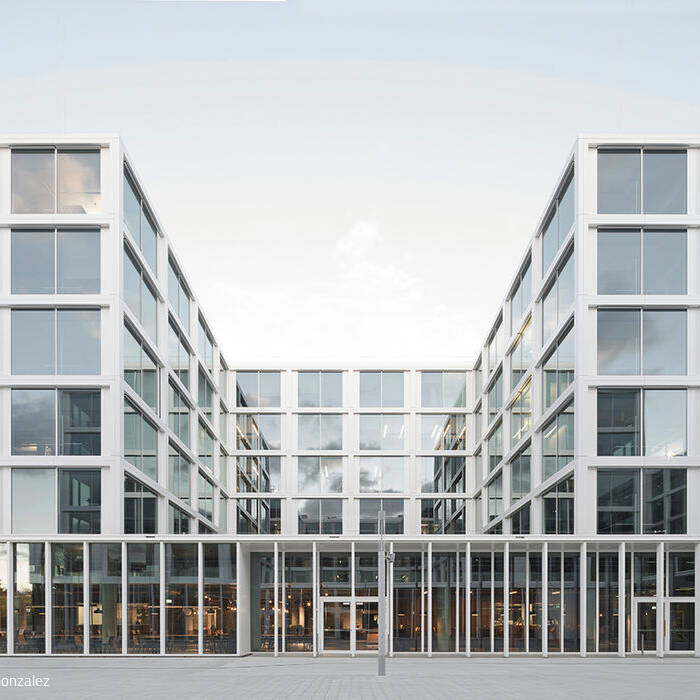 DLE_BG_211021_N3_10_700pixel