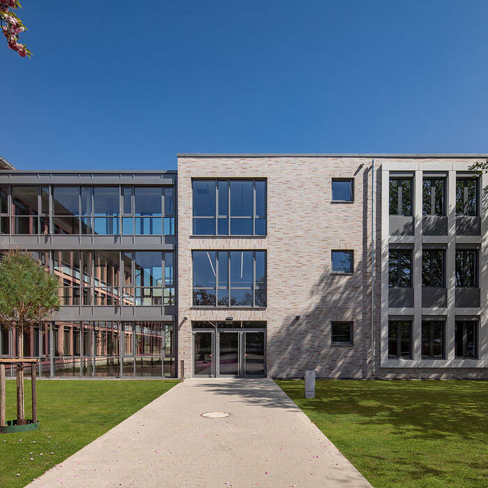 DMF_0420_5695_Rasen_15_700pixel