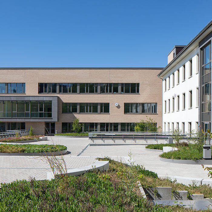 DMF_0520_6336_10_700pixel