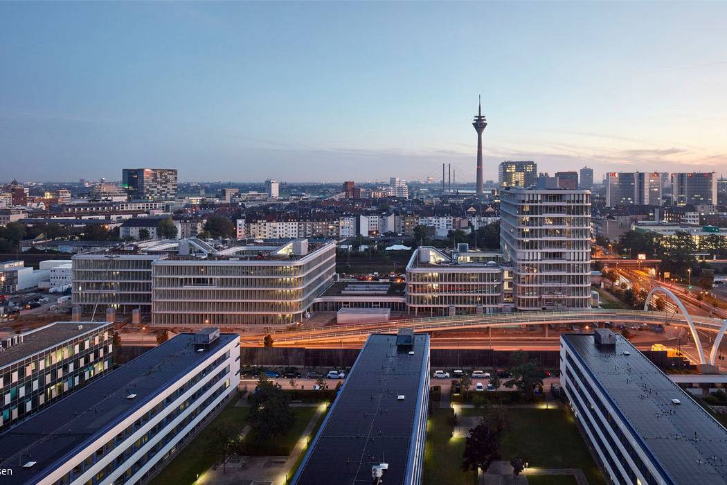 D-Mizal2021-013-1_19_700pixel