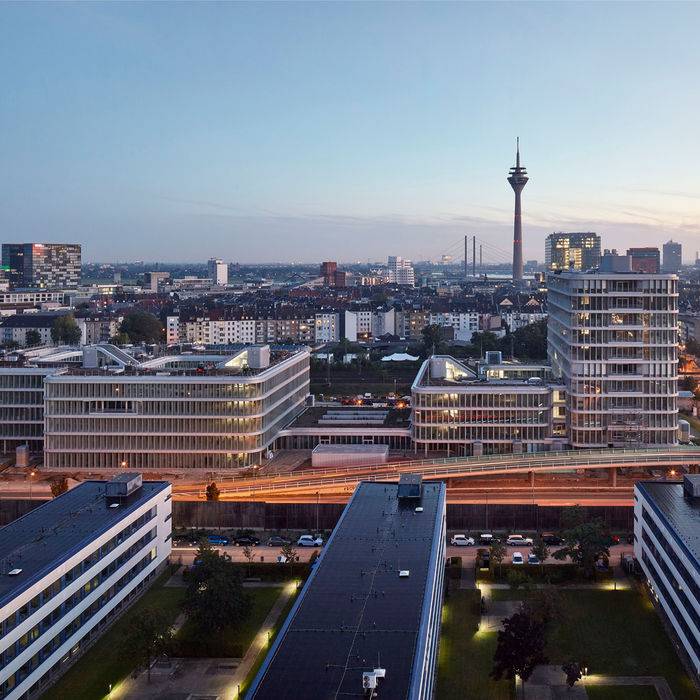 D-Mizal2021-013-1_19_700pixel