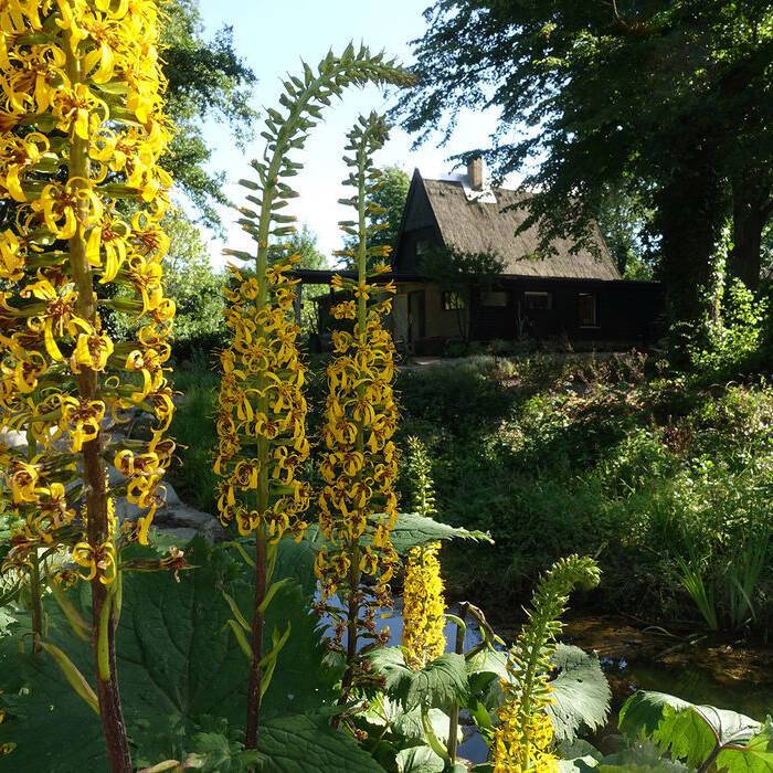 DSC03500_15_700pixel