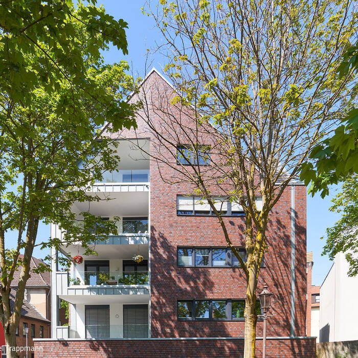 DSC06240_b_15_700pixel