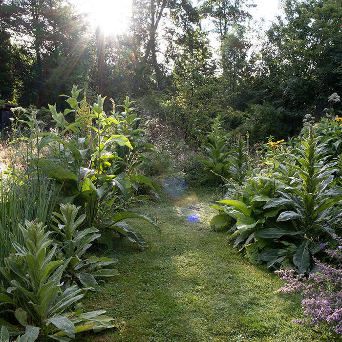 DSCF3343_10_700pixel