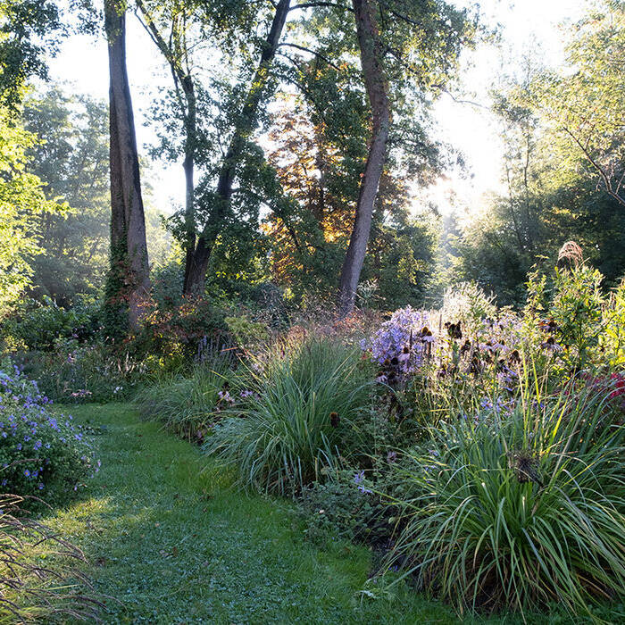 DSCF5013_10_700pixel