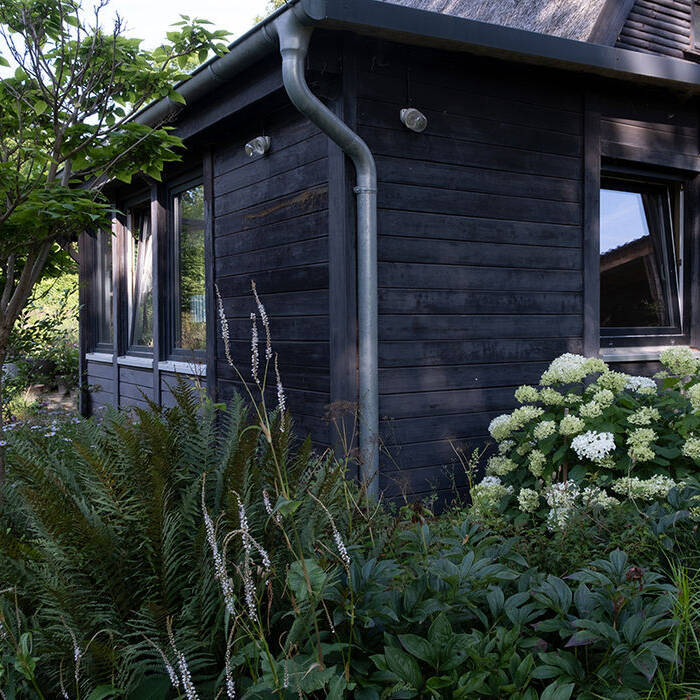 DSCF6341_10_700pixel