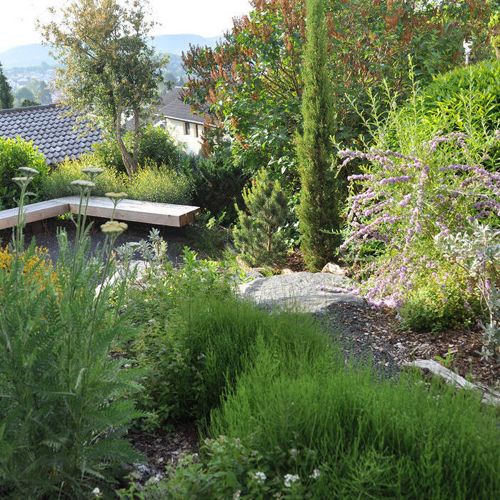 DSC_1145_8233910875057_0_15_700pixel