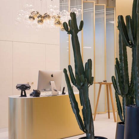 DSC_50272_10_700pixel