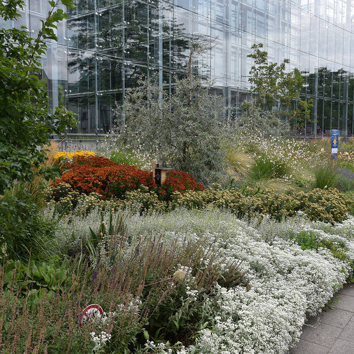 DSC_5912_15_700pixel