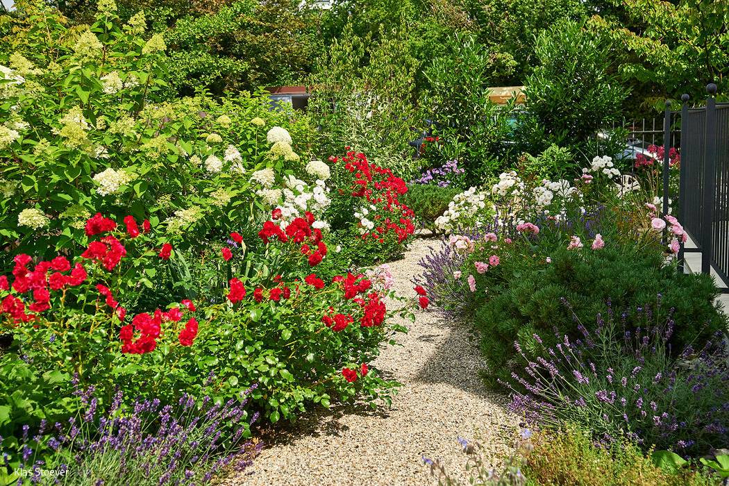 DSC_8164_15_700pixel