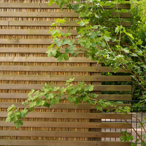 Datei-38_10_700pixel