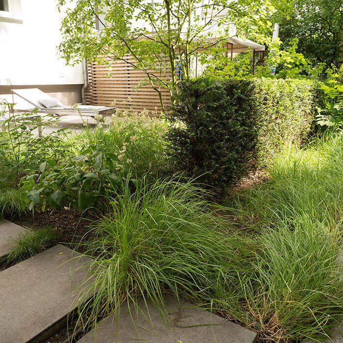 Datei-45_10_700pixel