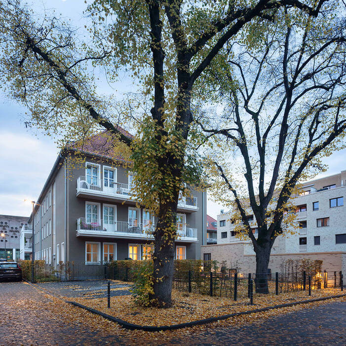 EP03629-0360_15_700pixel