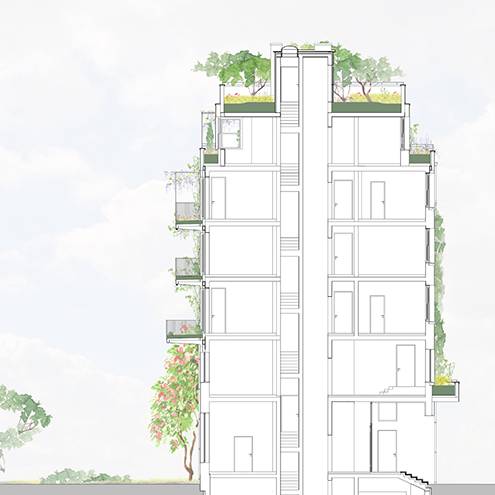 FO-LUCK-SCHNITT_700pixel