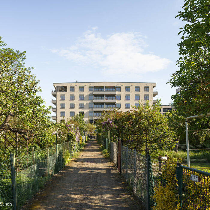 FOR_DSC05957_Schels_15_700pixel