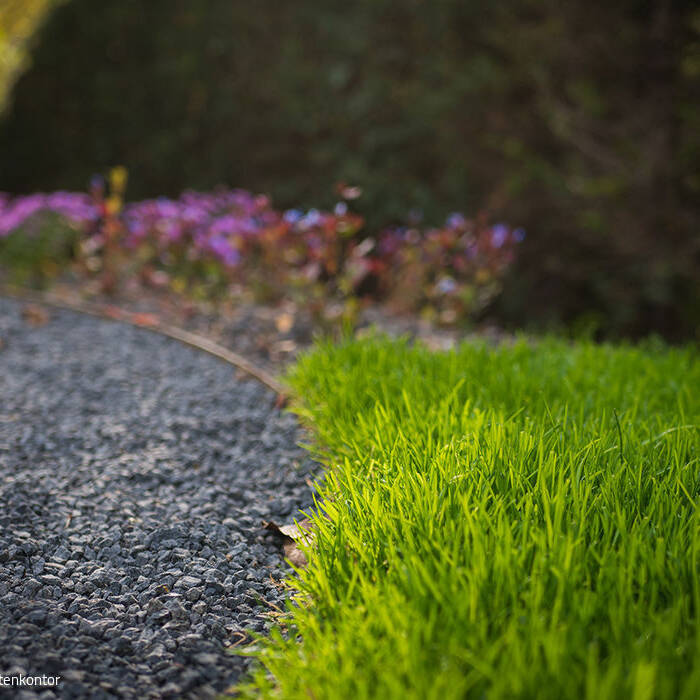 Familiengarten1_FullRes_46_10_700pixel