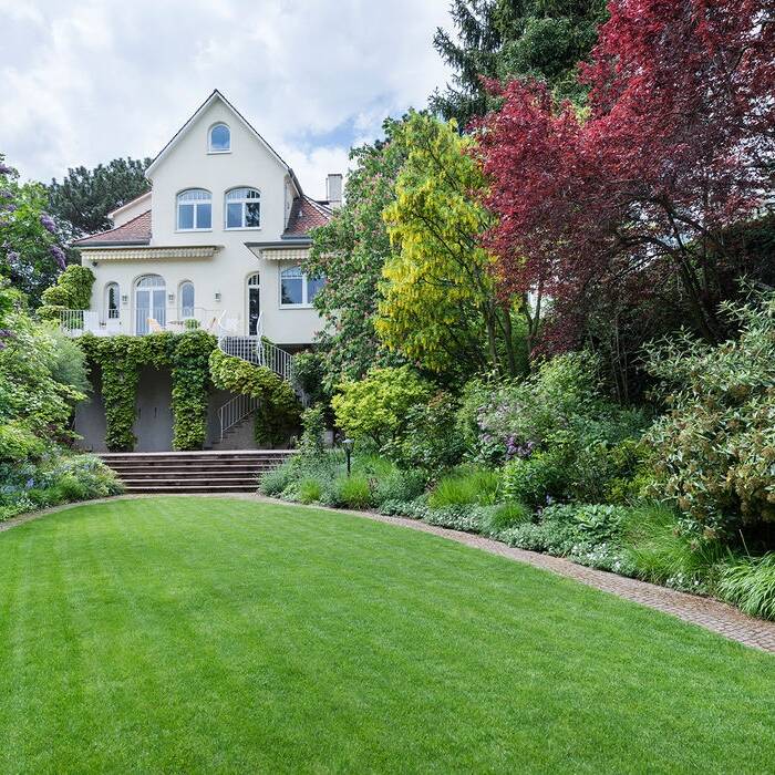 Freudenberg_01_15_700pixel