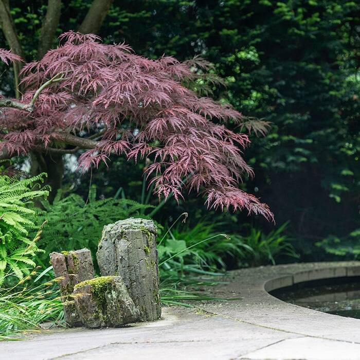 Freudenberg_07_10_700pixel