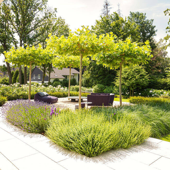 GEMPP-GARTENDESIGN_CUBE-MAGAZIN-6-_15_700pixel