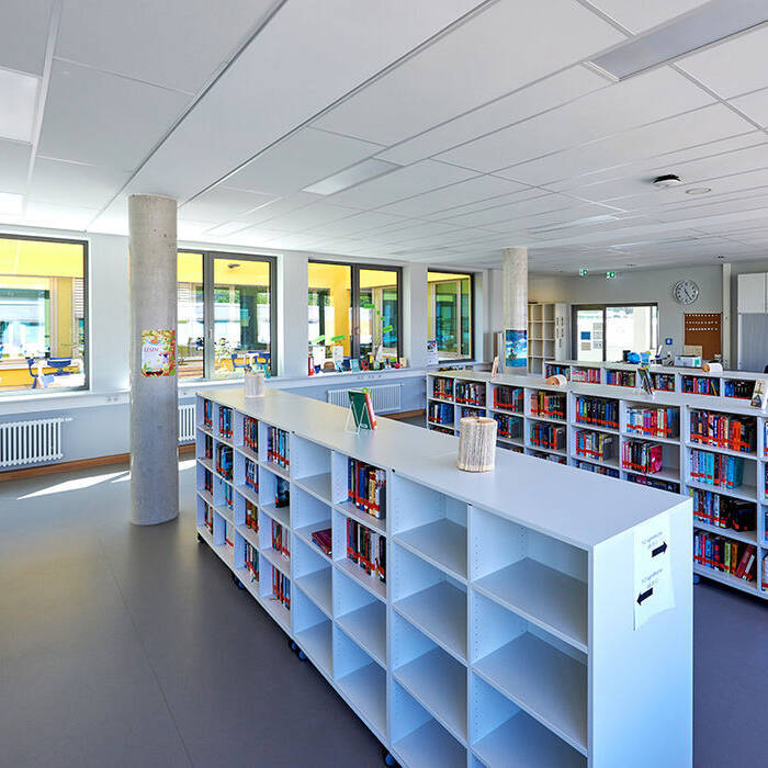 GSH_196b_10_700pixel