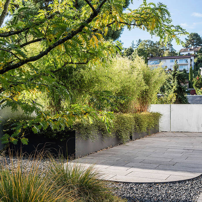 Garten-Leonberg_PB_09-19_500_2938_10_700pixel