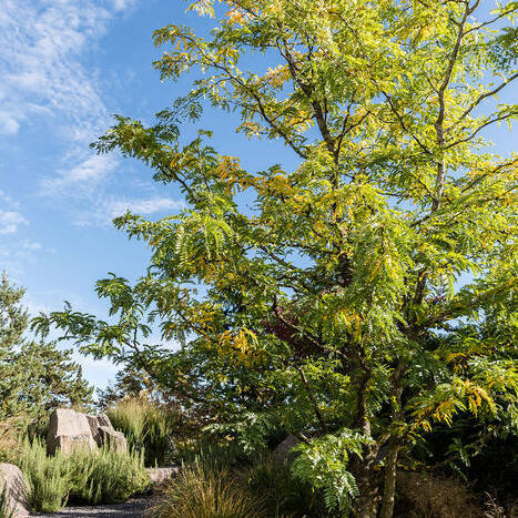 Garten-Leonberg_PB_09-19_500_3050_10_700pixel