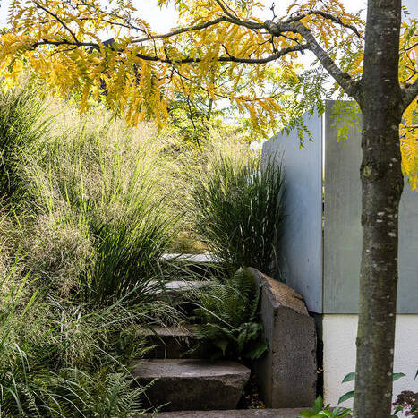 Garten-Leonberg_PB_09-19_500_3081_10_700pixel