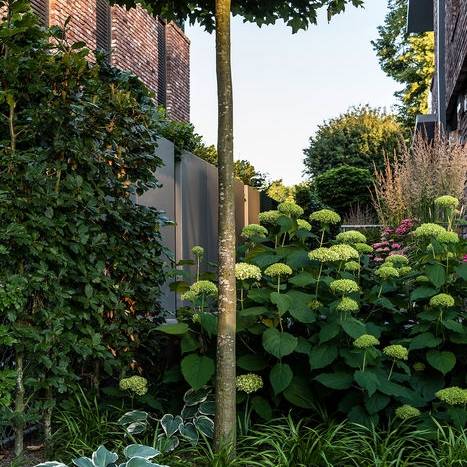 Gartenplus_Neuss_015_1857_10_700pixel