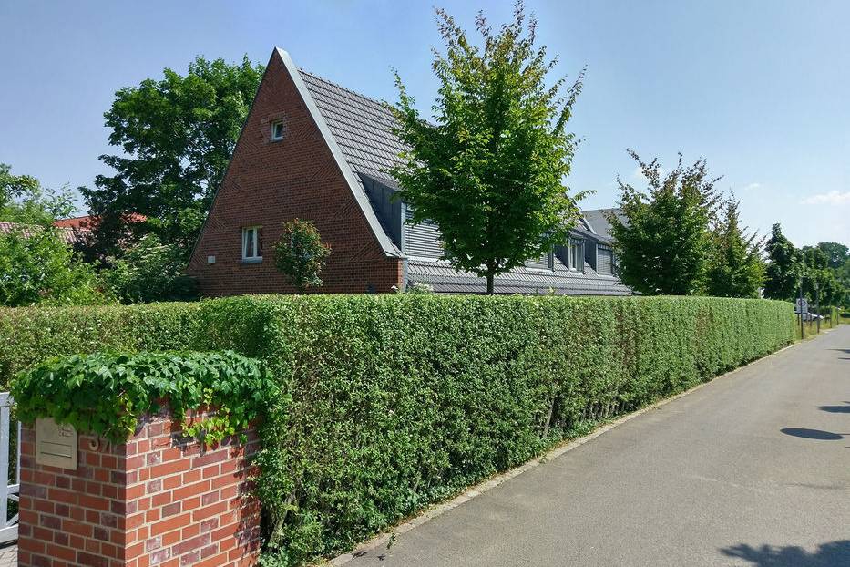 IMAG0539_15_700pixel