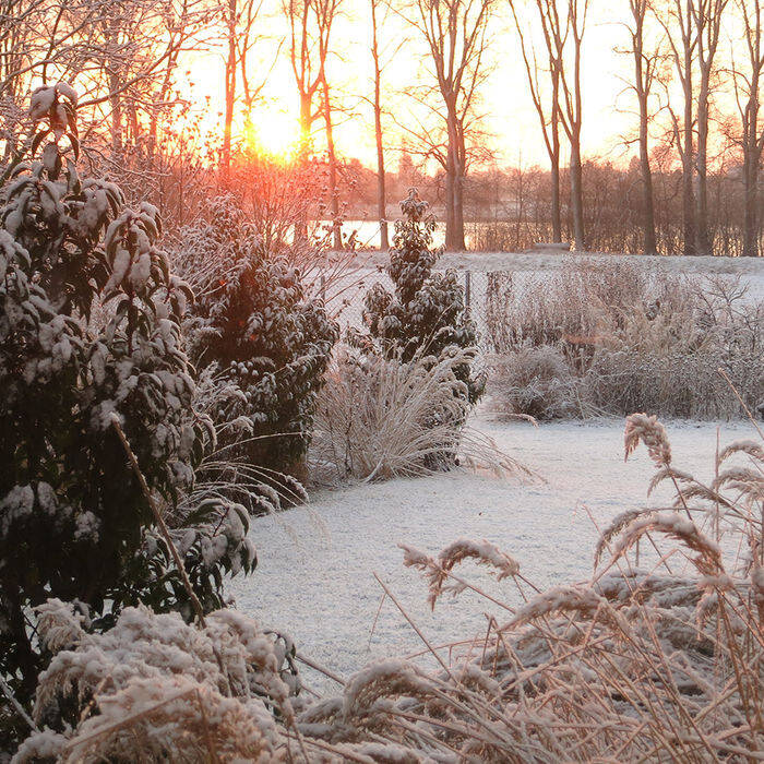 IMG_1063_Bauherr_15_700pixel