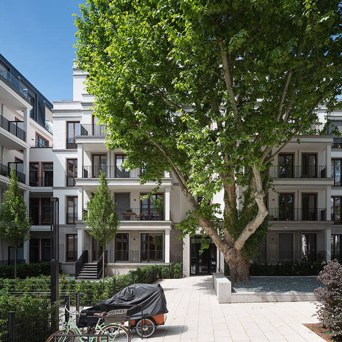 IMG_1454_LR_15_700pixel