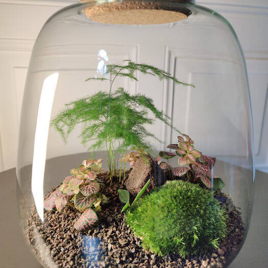 IMG_20210527_101700_10_700pixel