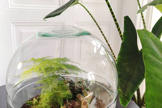 IMG_20210909_213749_10_700pixel