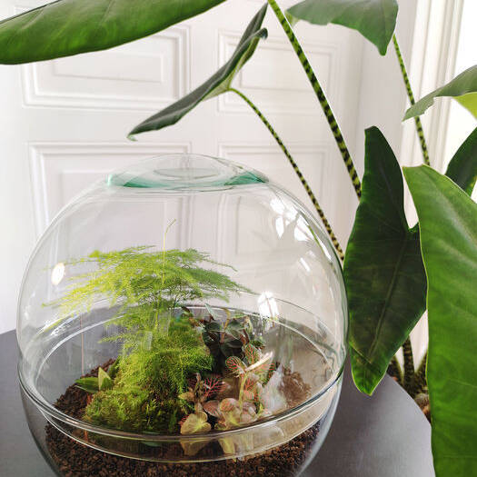 IMG_20210909_213749_10_700pixel