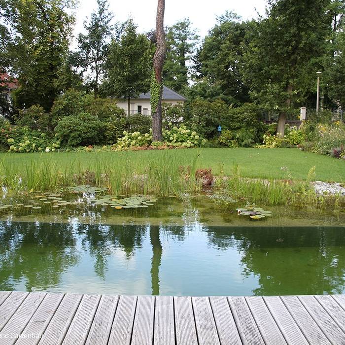 IMG_2804_10_700pixel