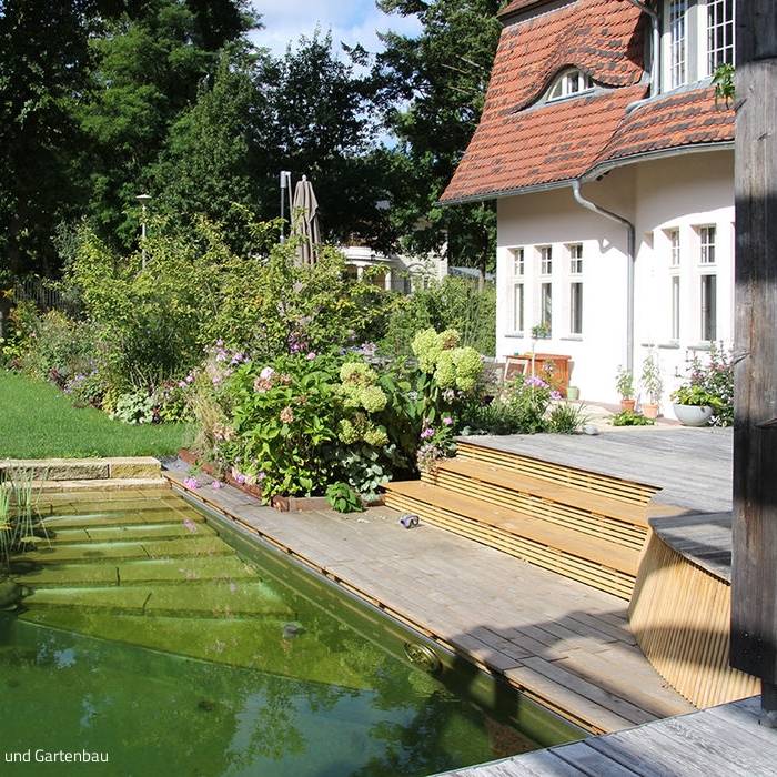 IMG_2818_b_10_700pixel