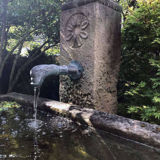 IMG_3316_10_700pixel