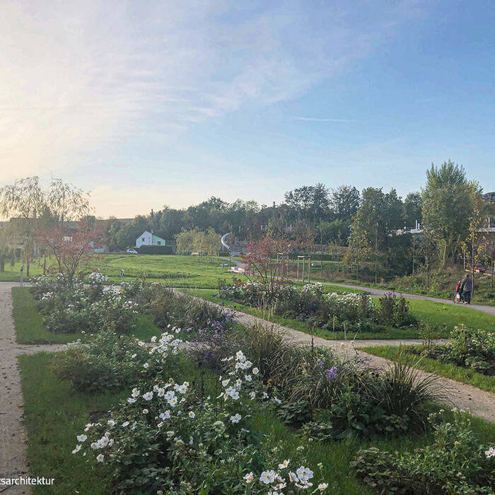 IMG_3394_10_700pixel