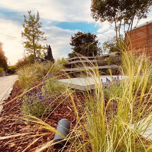 IMG_3517_10_700pixelHUS6w4Rzw0JJ8