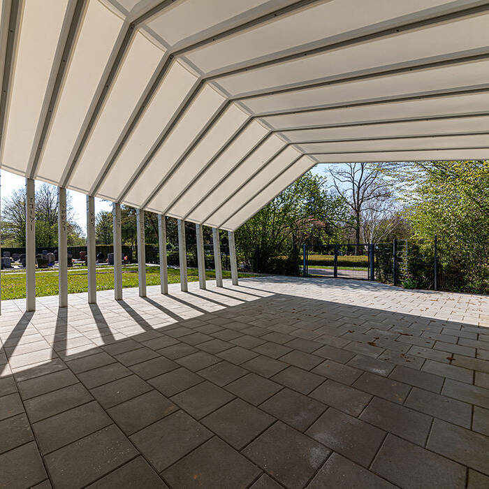 IMG_4828-lr-edit-20210425_10_700pixel