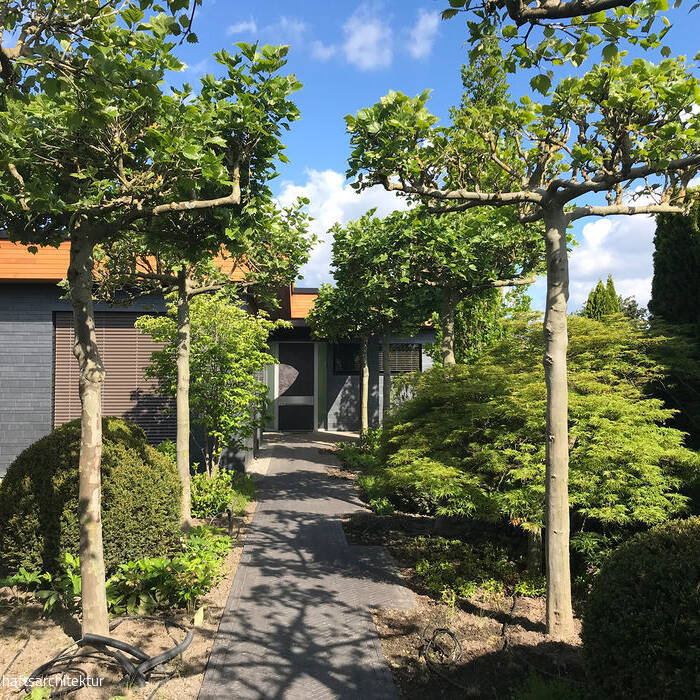 IMG_5555_15_700pixel