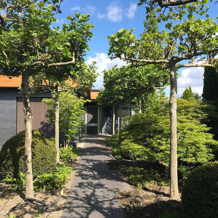 IMG_5555_15_700pixel90v0jn9spezTT