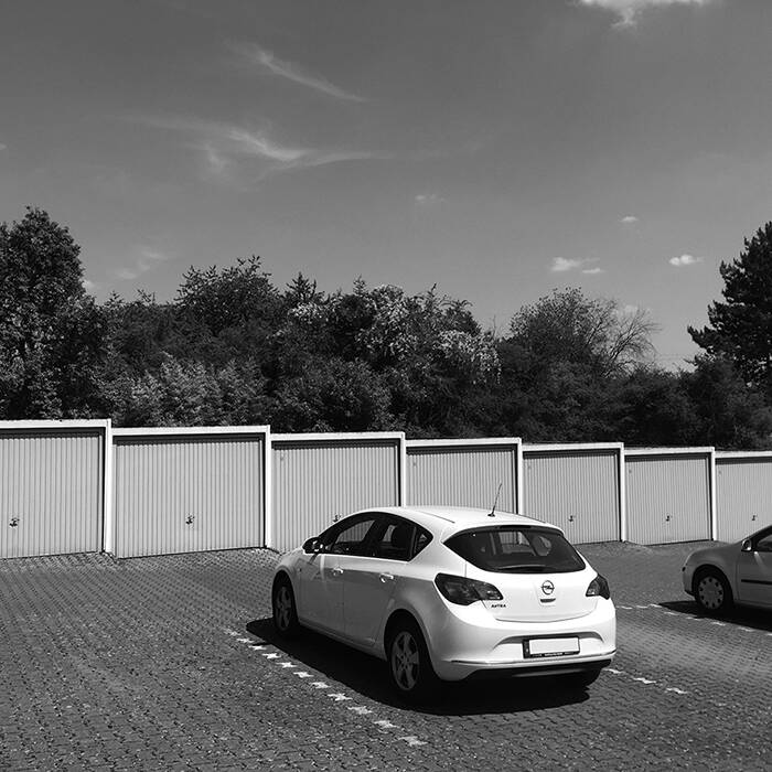 IMG_5559_SW_10_700pixel