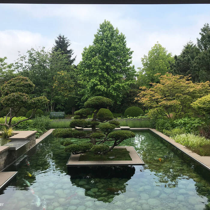 IMG_5794_15_700pixel